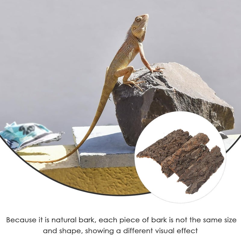PACKOVE 4pcs Reptile Bark Decor Wood Reptile Terrarium Bark Decor Cork Barks Hide for Spider Lizard, Light Brown, 5. 11 X 1. 49 X 0. 39 Inch - Image 4